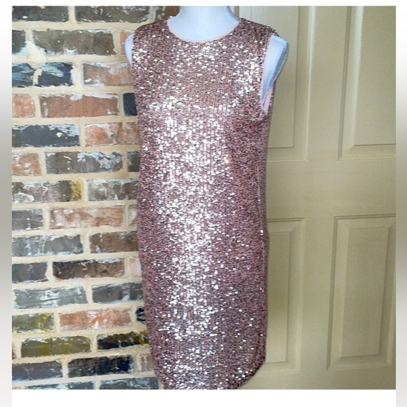 NWT She + Sky Sequined Sheath Rose Gold Pink Size Small - Picture 2 of 11